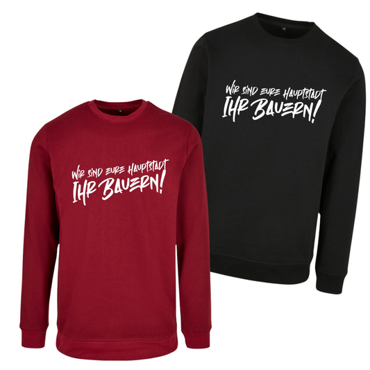 "Wir sind eure Hauptstadt" Crewneck Pullover * 2 Broken Sticks X The Squad *