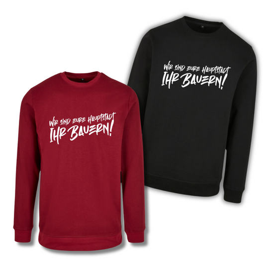 "Wir sind eure Hauptstadt" Crewneck Pullover * 2 Broken Sticks X The Squad *