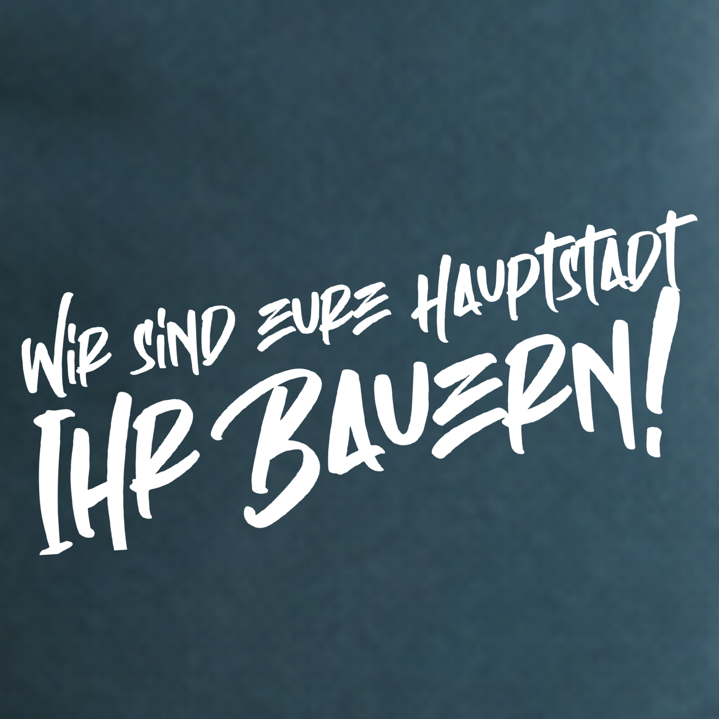 "WIR SIND EURE HAUPTSTADT, IHR BAUERN!" The Squad Vintage Heavy Hockey Shorts