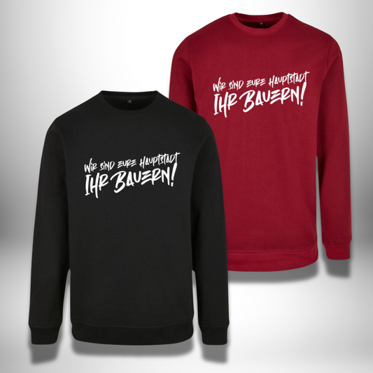 2 Broken Sticks 🏒 Wir sind eure Hauptstadt 🏒 Crewneck Pullover